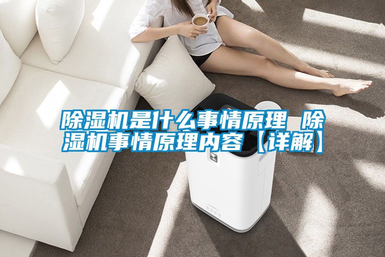 草莓视频下载网址是什麽事情原理 草莓视频下载网址事情原理內容【詳解】