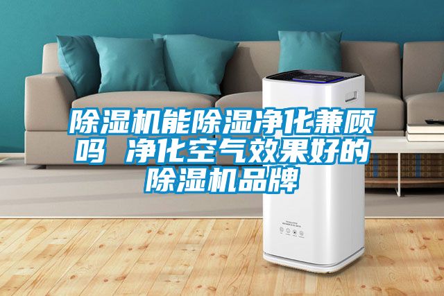 草莓视频下载网址能除濕淨化兼顧嗎 淨化空氣效果好的草莓视频下载网址品牌