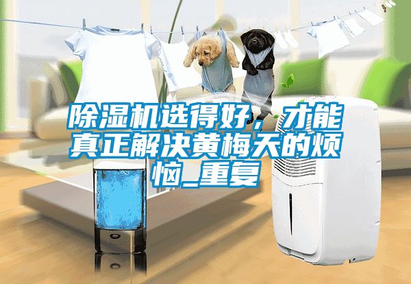 草莓视频下载网址選得好，才能真正解決黃梅天的煩惱_重複