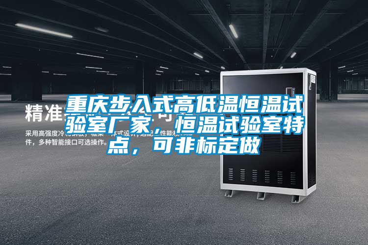 重慶步入式高低溫恒溫試驗室廠家，恒溫試驗室特點，可非標定做