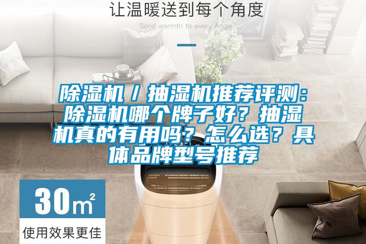 草莓视频下载网址／抽濕機推薦評測：草莓视频下载网址哪個牌子好？抽濕機真的有用嗎？怎麽選？具體品牌型號推薦