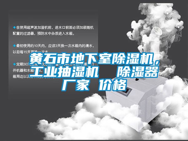 黃石市地下室草莓视频下载网址，工業抽濕機  除濕器廠家 價格