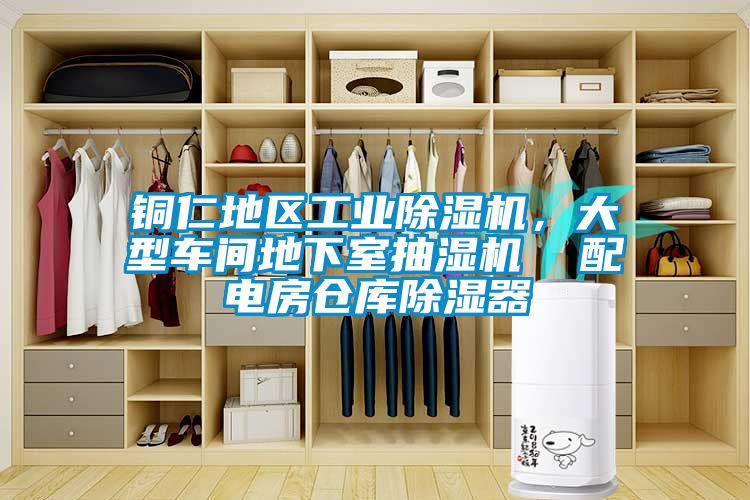 銅仁地區工業草莓视频下载网址，大型車間地下室抽濕機  配電房倉庫除濕器
