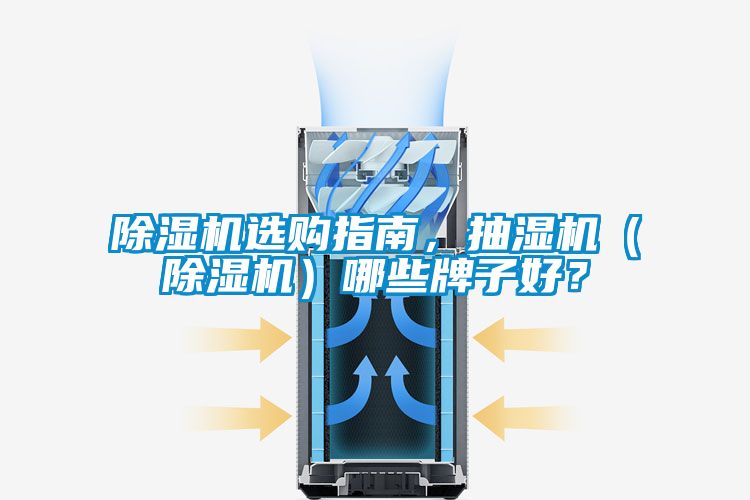 草莓视频下载网址選購指南，抽濕機（草莓视频下载网址）哪些牌子好？