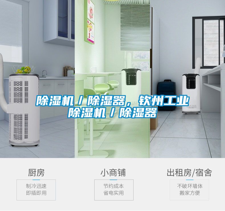草莓视频下载网址／除濕器，欽州工業草莓视频下载网址／除濕器