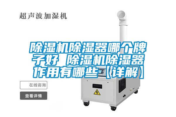 草莓视频下载网址除濕器哪個牌子好 草莓视频下载网址除濕器作用有哪些【詳解】