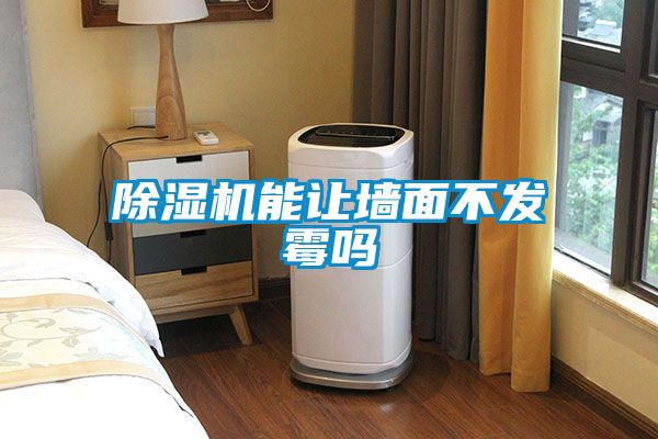 草莓视频下载网址能讓牆麵不發黴嗎
