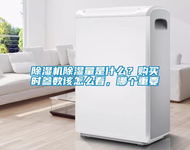 草莓视频下载网址除濕量是什麽？購買時參數該怎麽看，哪個重要