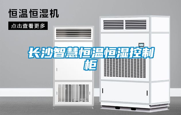 長沙智慧恒溫恒濕控製櫃