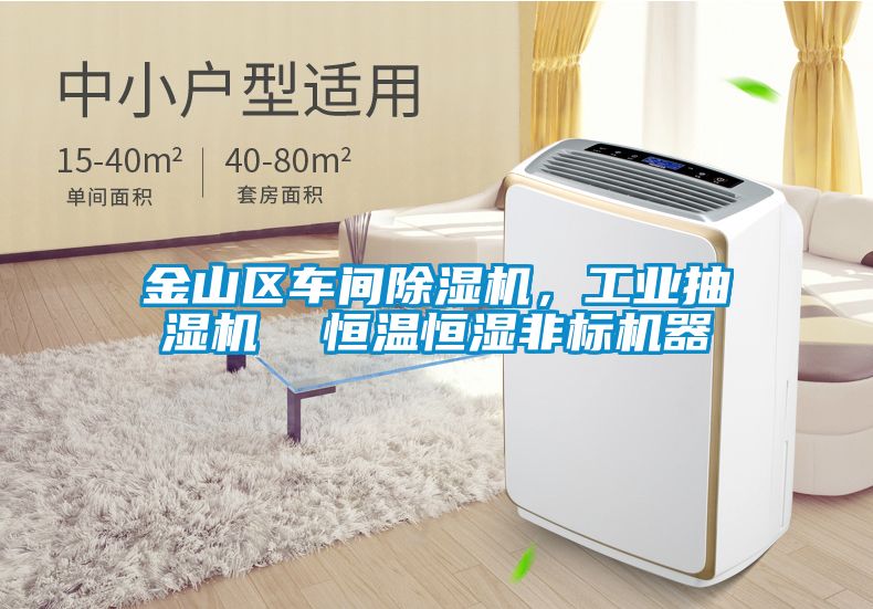 金山區車間草莓视频下载网址，工業抽濕機  恒溫恒濕非標機器