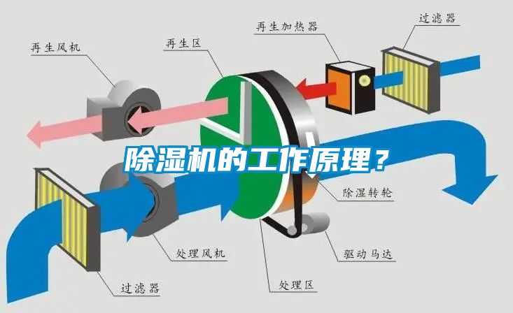 草莓视频下载网址的工作原理？