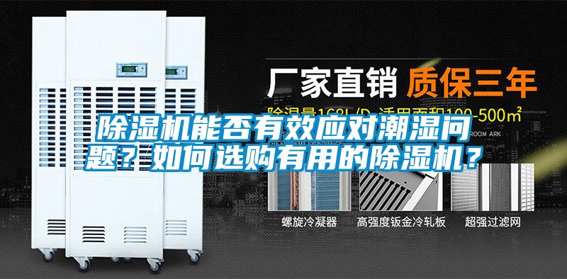 草莓视频下载网址能否有效應對潮濕問題？如何選購有用的草莓视频下载网址？